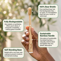 Tusk Boar Bristle & Bamboo Toothbrush (4 Pack)